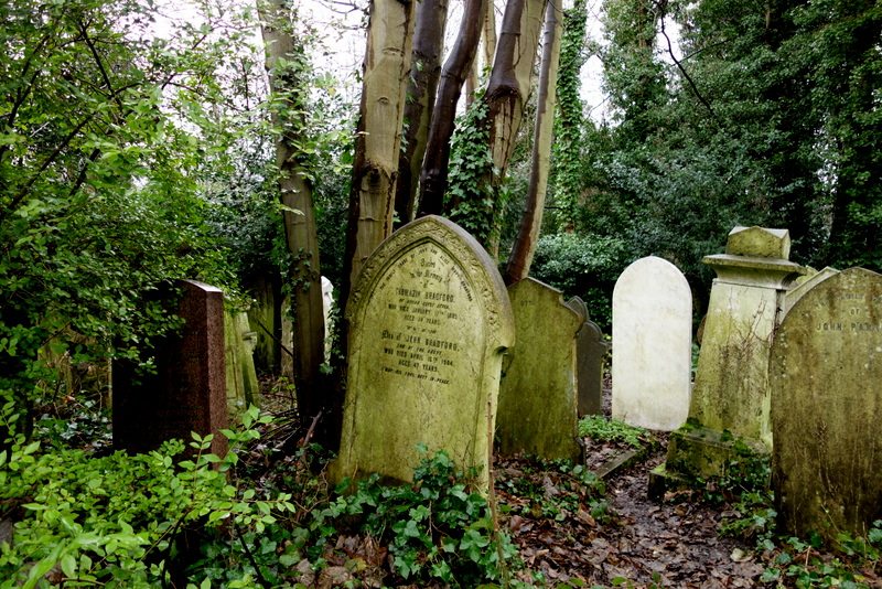 London’s Hidden Gems: Abney Park Cemetery