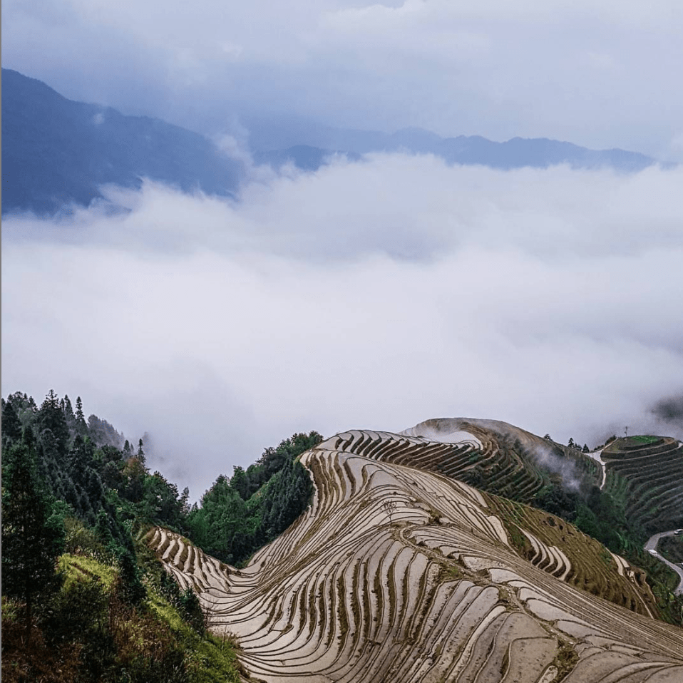longji rice terraces two week china itinerary