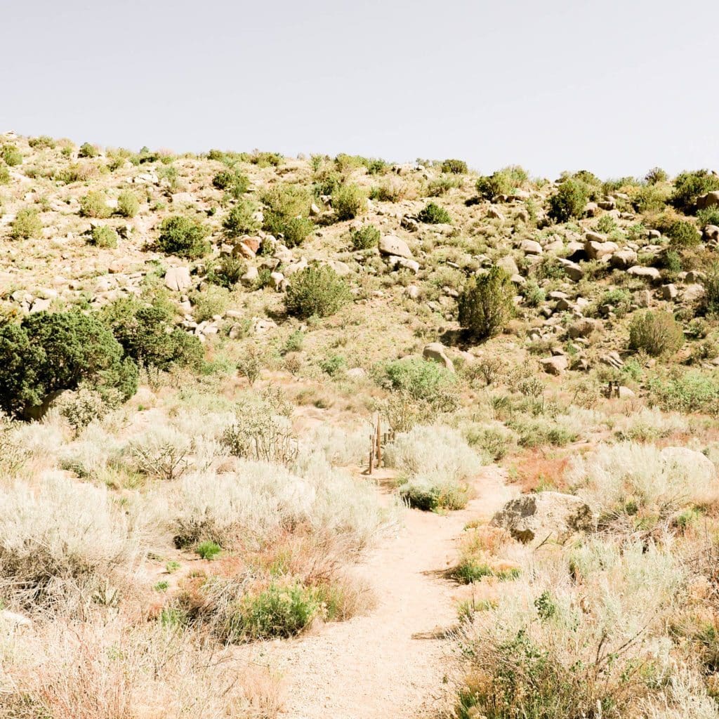 Taking a Breaking Bad Tour in Albuquerque - Indiana Jo