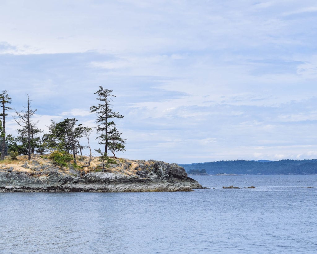 ruckle park salt spring island