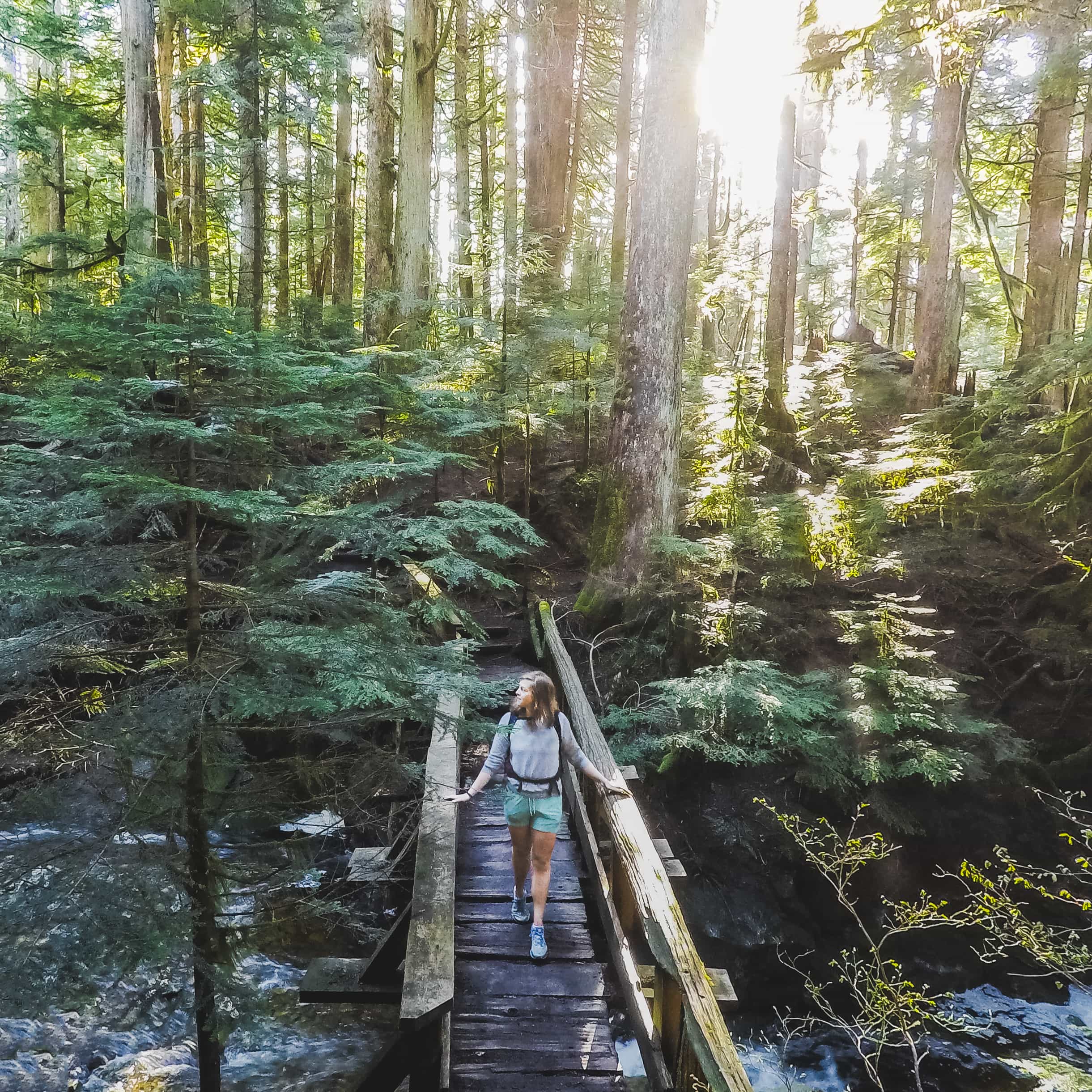 Baden Powell Trail: Grouse Mountain to Deep Cove