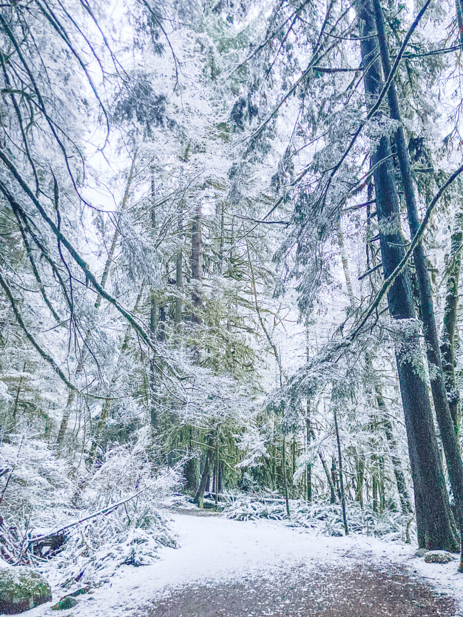 rice lake north vancouver hikes