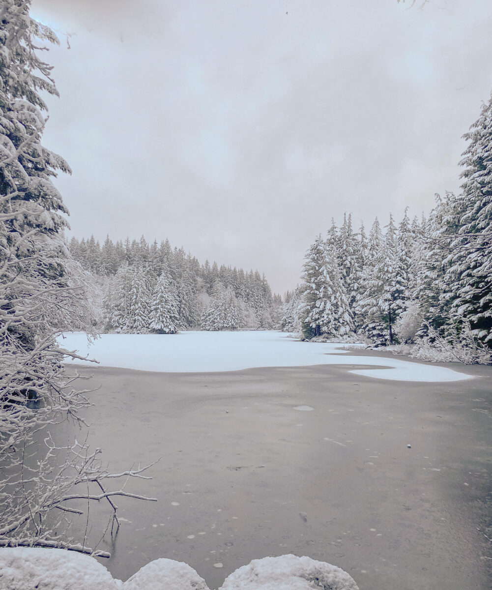 rice lake north vancouver hikes