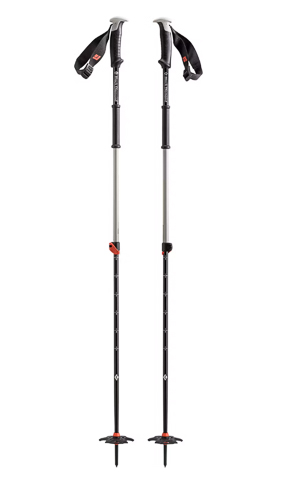 ski poles