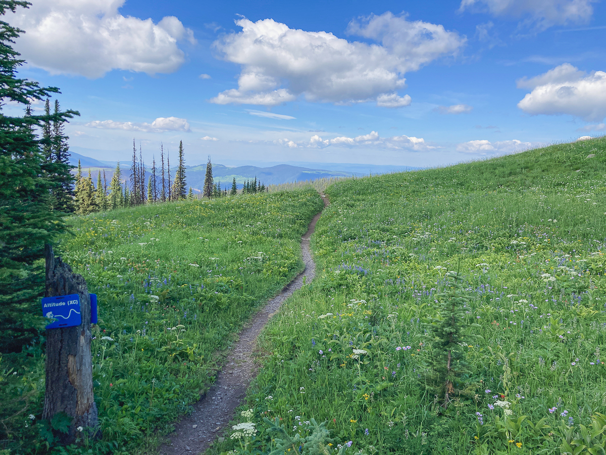 sun peaks tod mountain trail