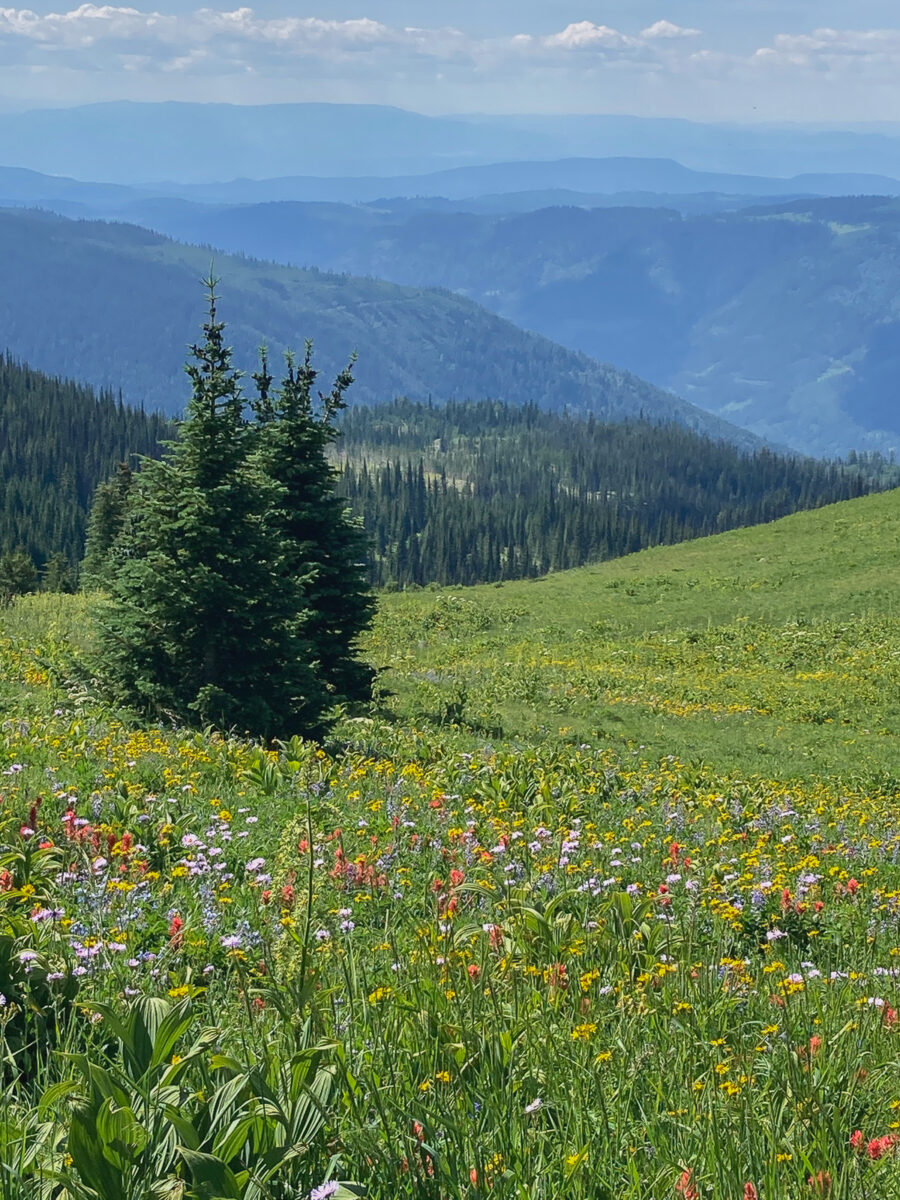 things to do in sun peaks summer (5 of 5)