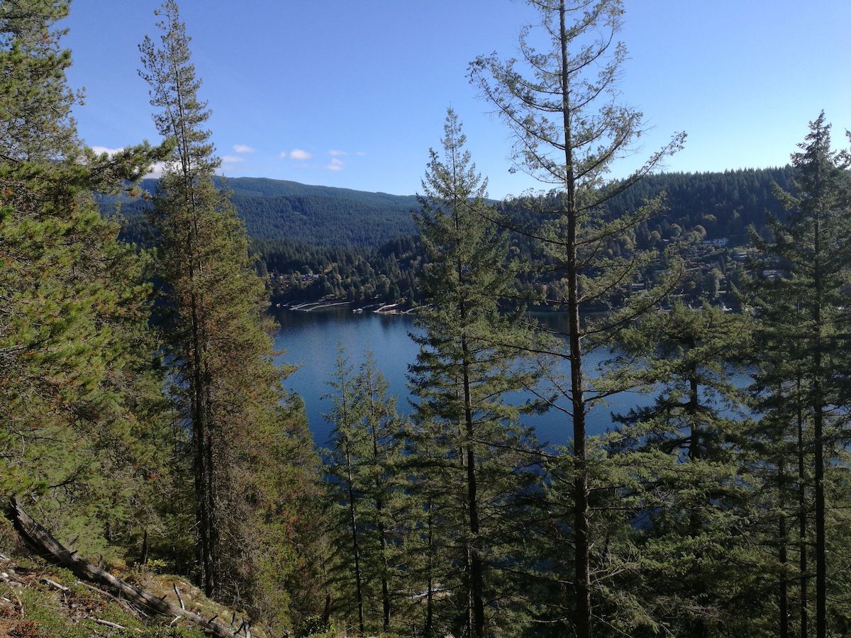 jug island beach trail
