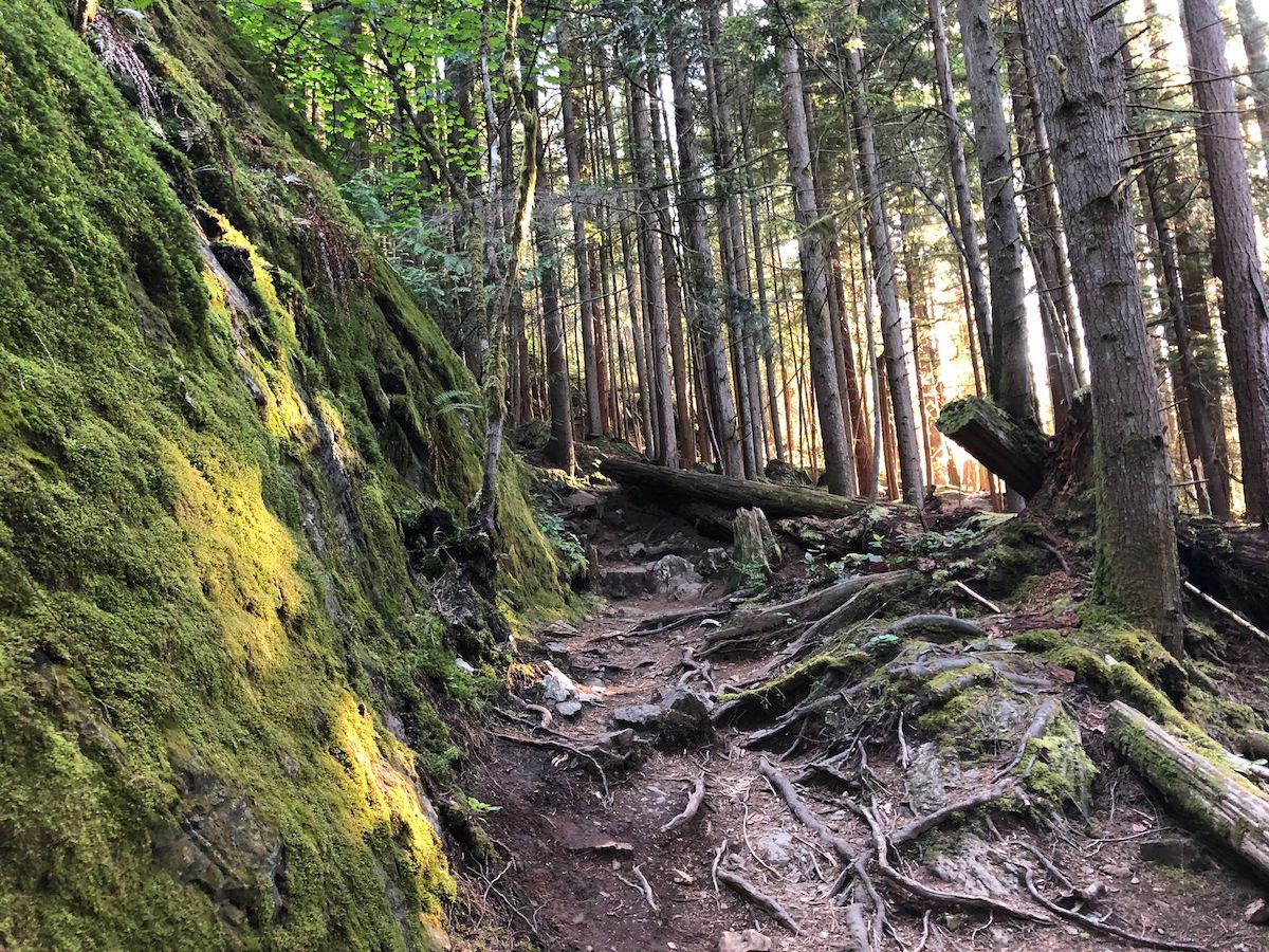 jug island beach trail
