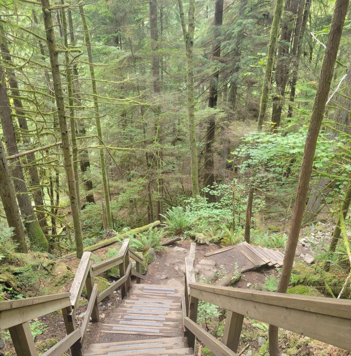 jug island beach trail