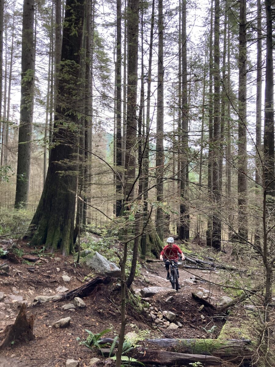 mountain bike rental vancouver