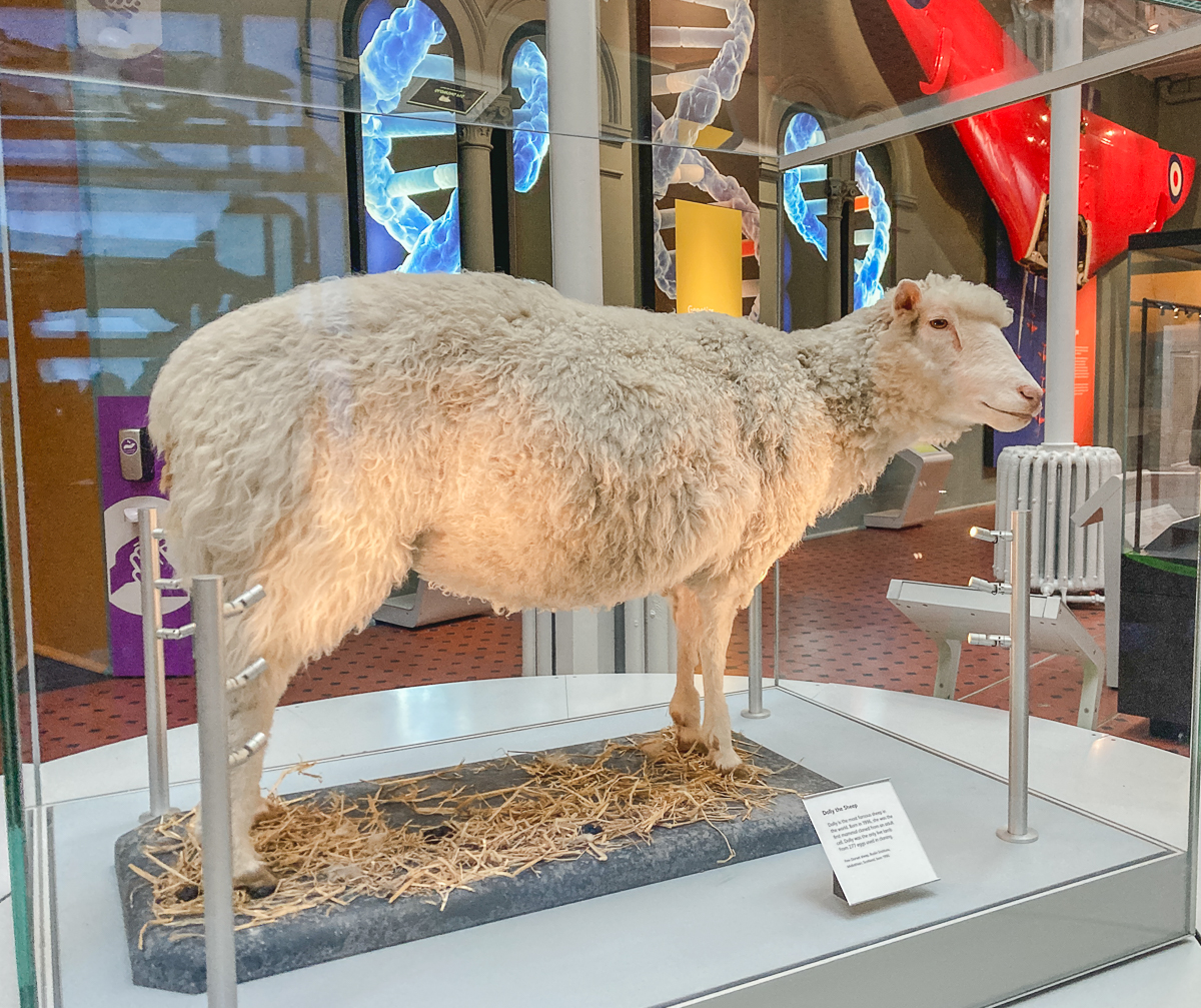 national museum of scotland edinburgh