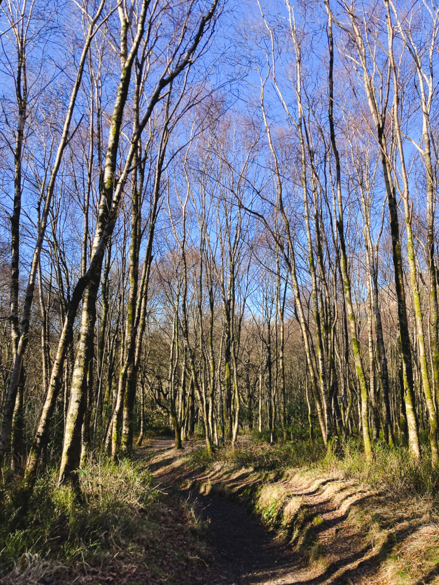 walking ben lomond scotland the trossachs