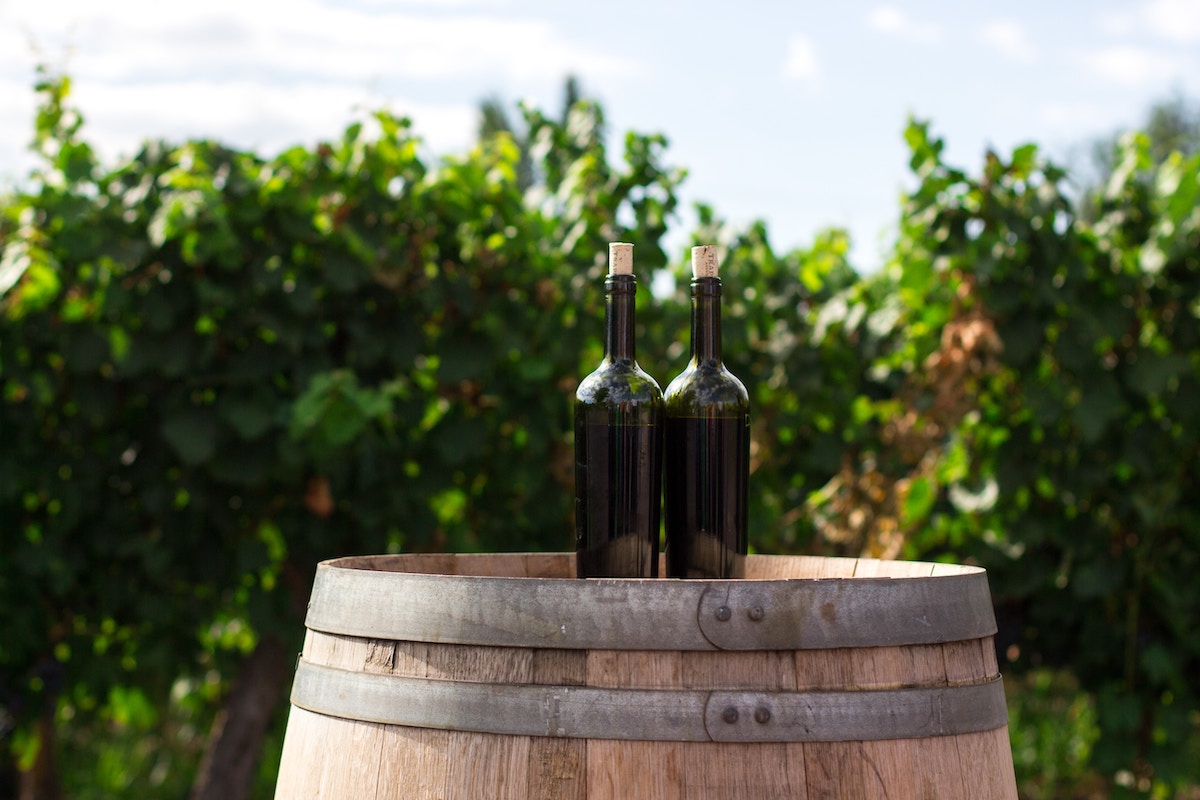 algarve wine tasting tour