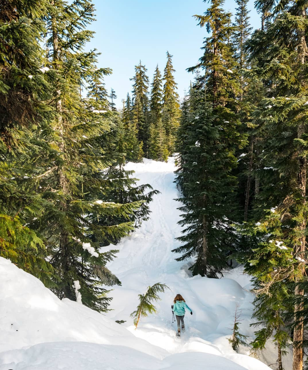 best snowshoeing in whistler